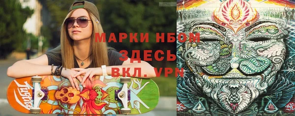 ECSTASY Лагань