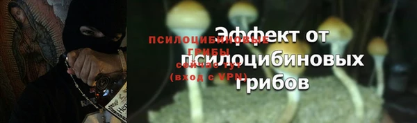 ALPHA PVP Липки