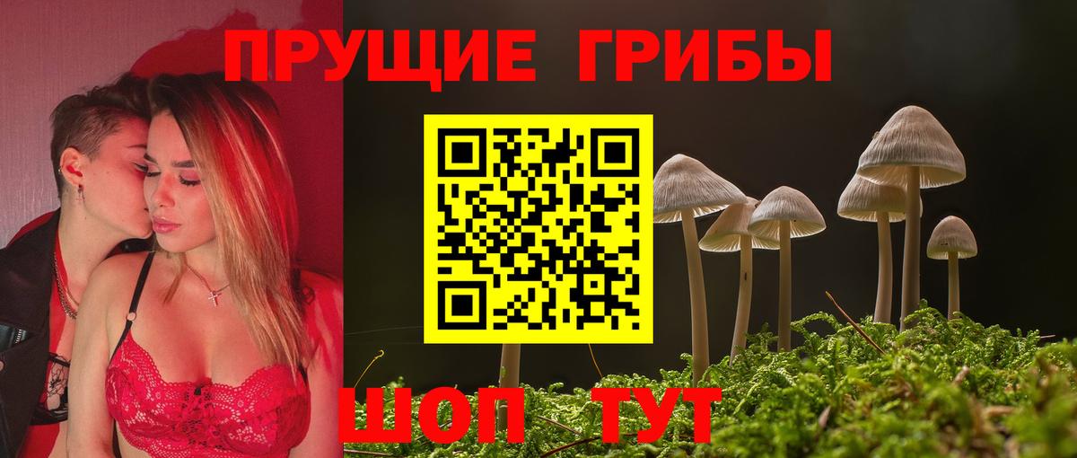 Псилоцибиновые грибы Magic Shrooms  Вход с VPN  Псилоцибиновые грибы прущие грибы  Ливны 