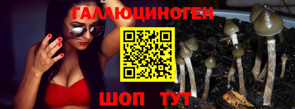 Галлюциногенные грибы Cubensis Ливны